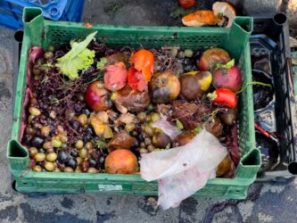 A vibrant collection of spoiled fruits and vegetables fills a green crate, showcasing the waste of produce in a bustling market setting. The mix highlights the impact of food waste